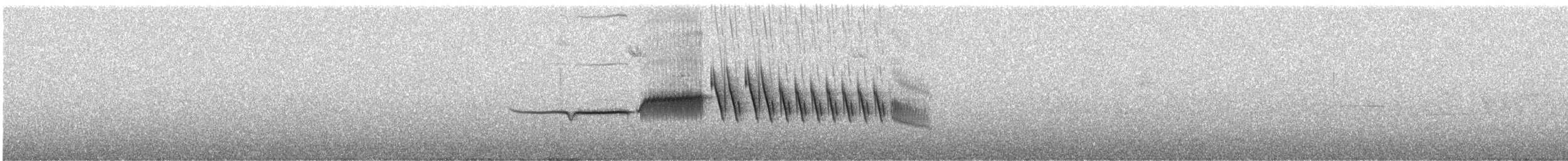 White-crowned Sparrow - ML637371979