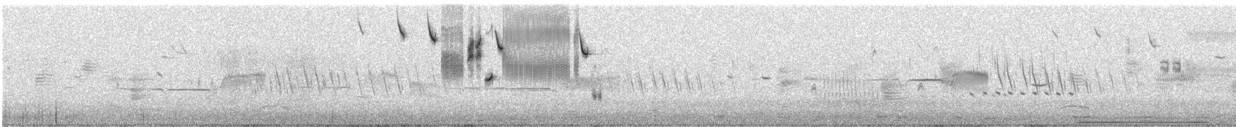 Savannah Sparrow - ML637371988