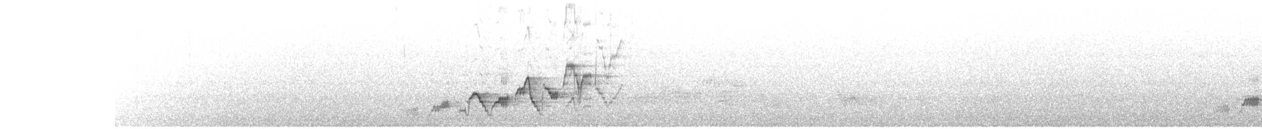 Swainson's Thrush - ML637372699