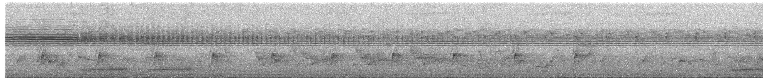 Lesser Honeyguide - ML637372977