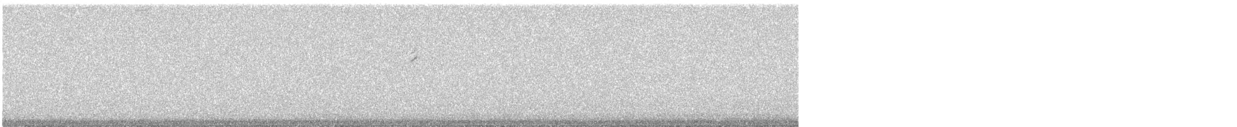 new world warbler sp. - ML637373007
