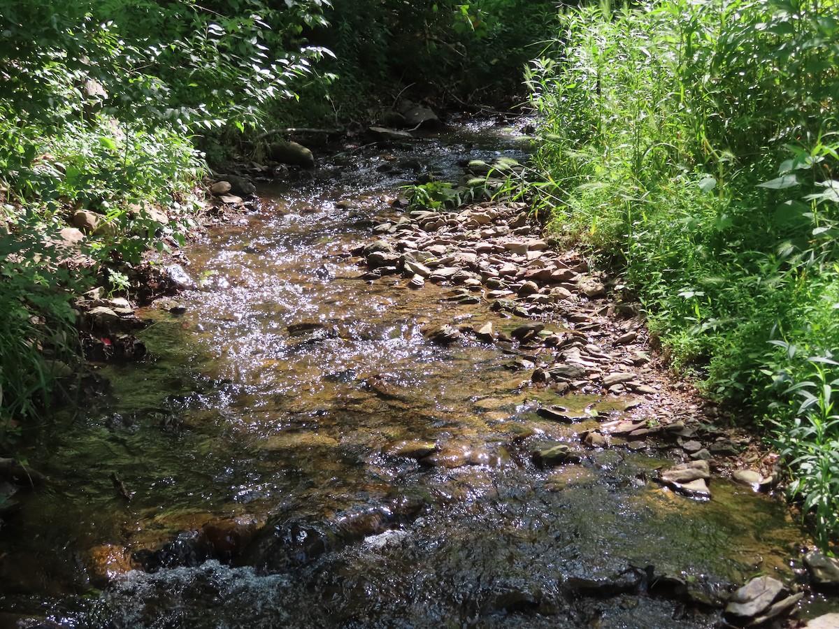 null - ML637373794