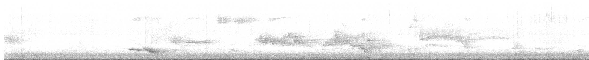 žluva hajní - ML637374772