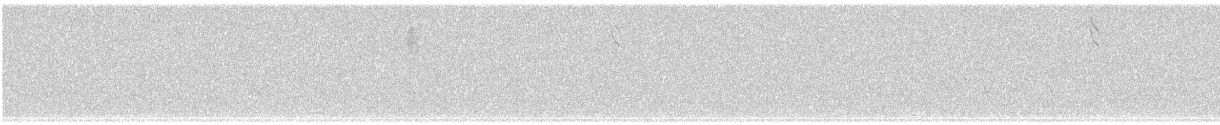 Savannah Sparrow - ML637375404