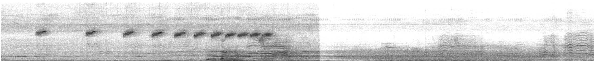 Highland Rush Warbler - ML637376329