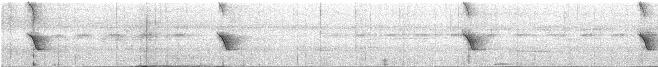 African Pied Wagtail - ML637377743