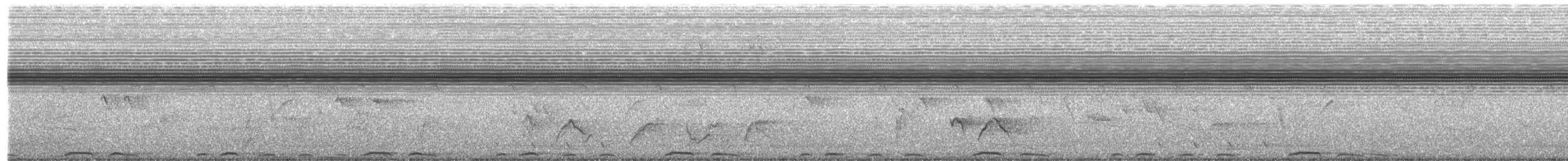 Red-eyed Dove - ML637378182