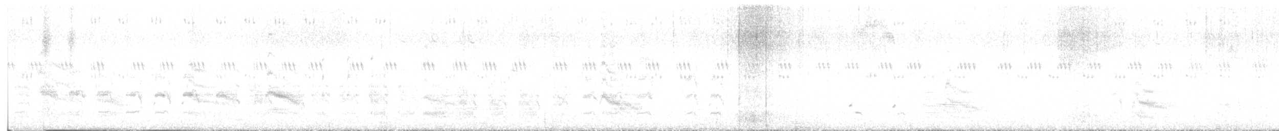 Forster's Tern - ML637378209