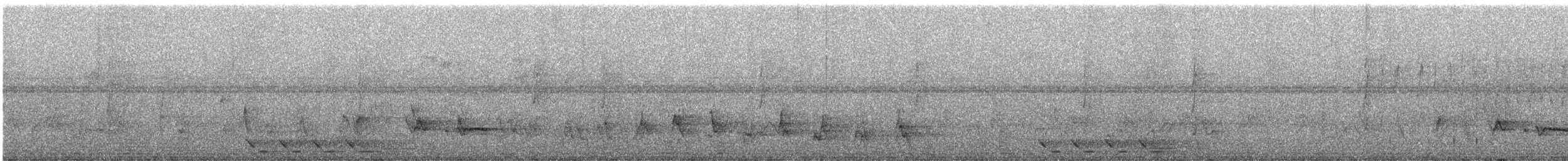 Tropical Boubou - ML637378662