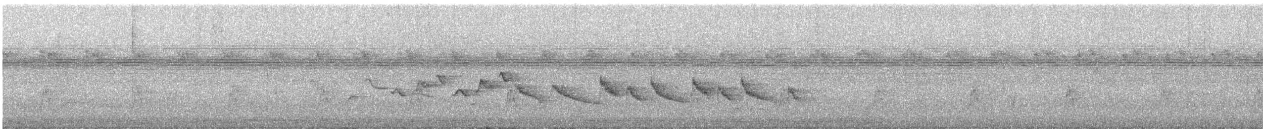 hvitstjertelminia - ML637378829