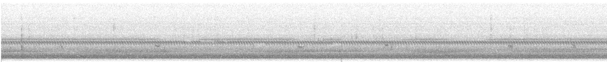 Semipalmated Sandpiper - ML637381350