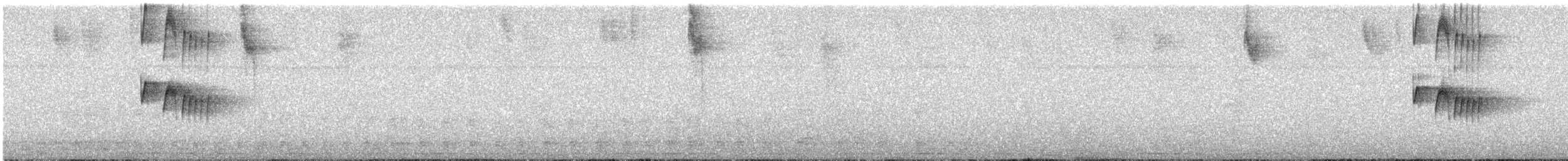 Gray Kingbird - ML637382382