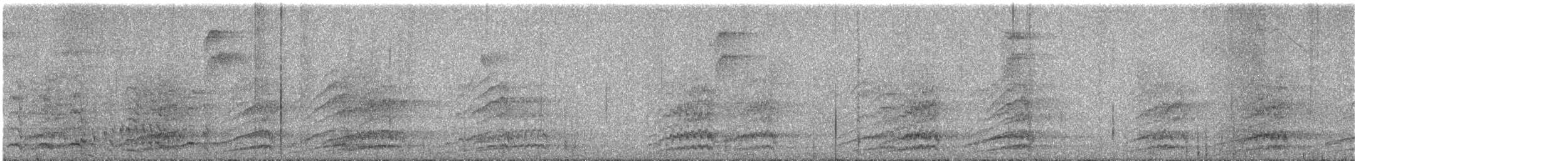 White-necked Crow - ML637382526