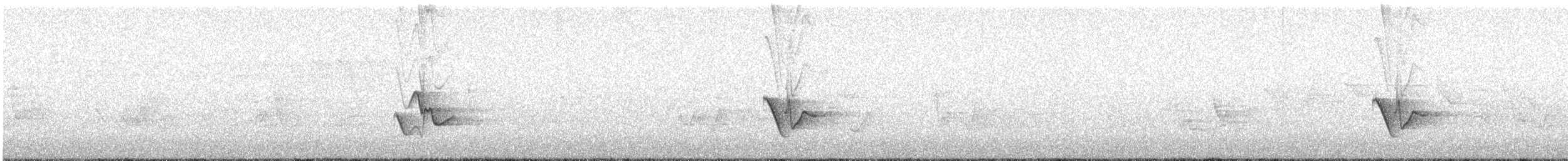 Blue-headed Vireo - ML637382692