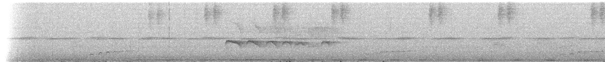 Graubrust-Schnäppertyrann - ML637382870