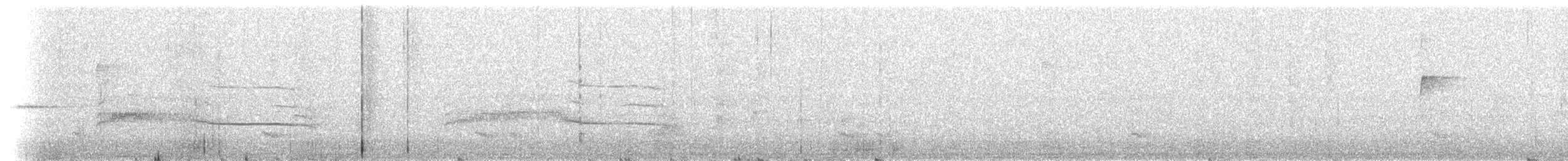 hawk sp. - ML637382971