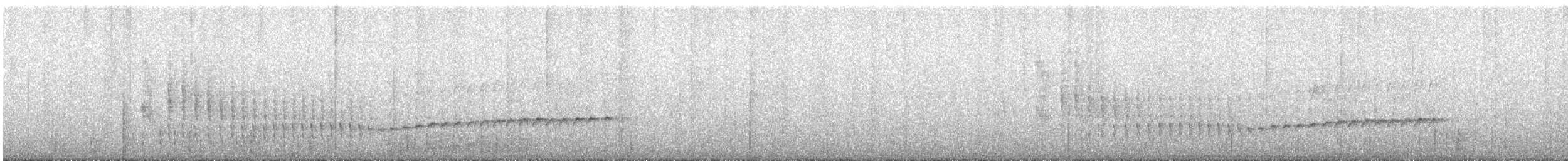 Long-billed Gnatwren (rufiventris Group) - ML637383040