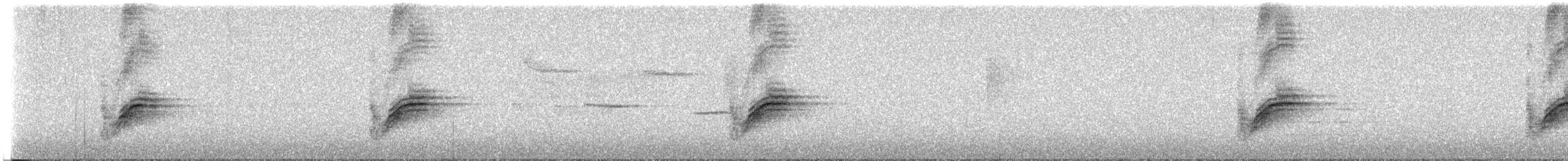 Eastern Towhee (Red-eyed) - ML637383249