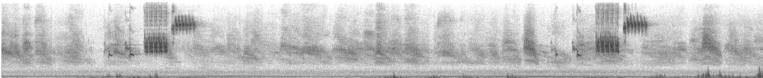 sisselspurv - ML637383473