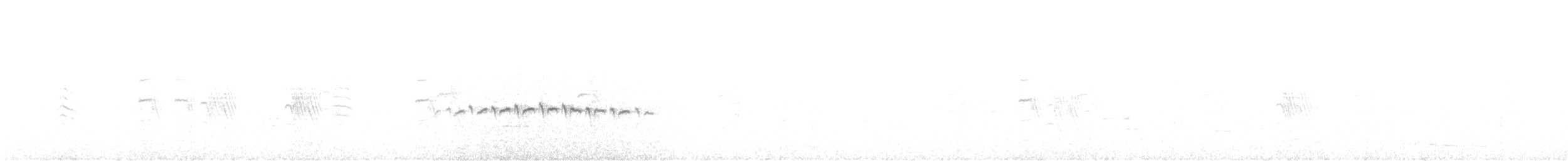 Banded Whiteface - ML637383488