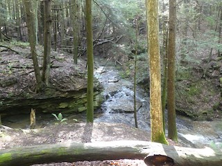 Todd Nature Reserve, Butler, Pennsylvania, United States - eBird Hotspot