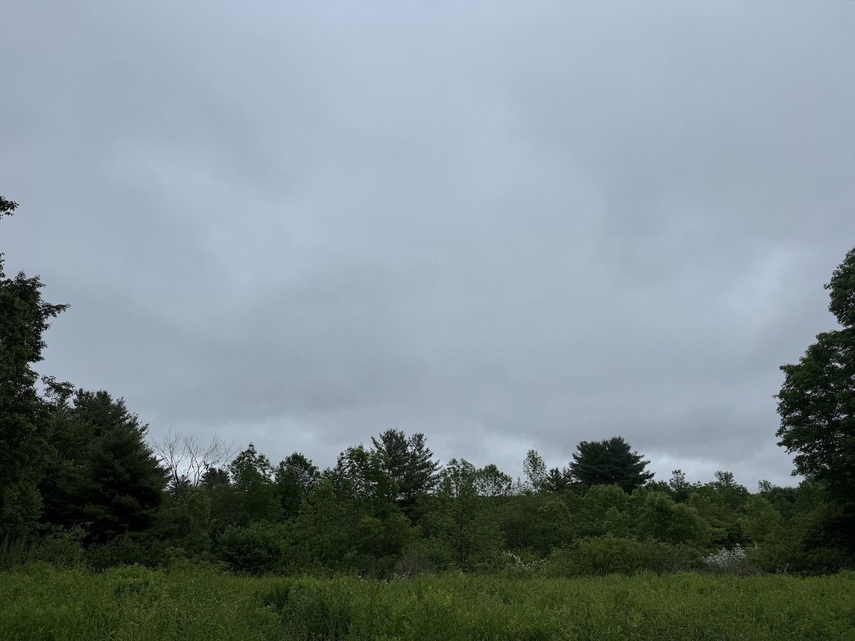 null - ML637385383