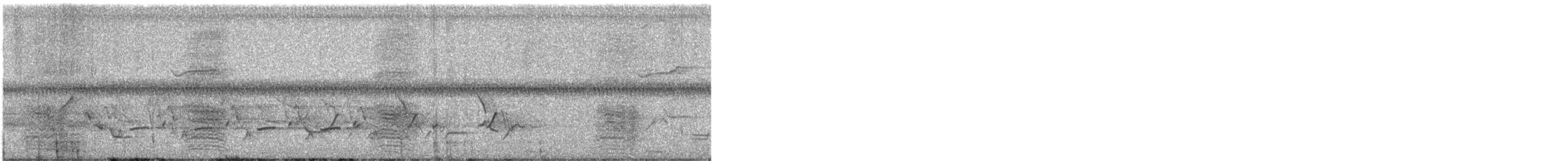 Carolina Wren - ML637385952