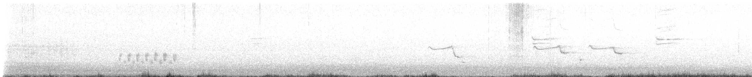 Northern Mockingbird - ML637386324
