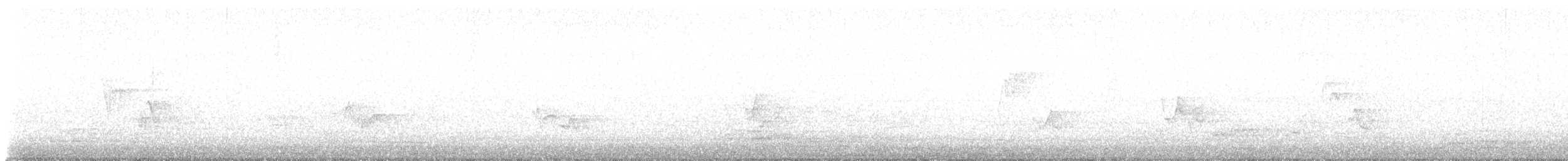 Red-eyed Vireo - ML637386336