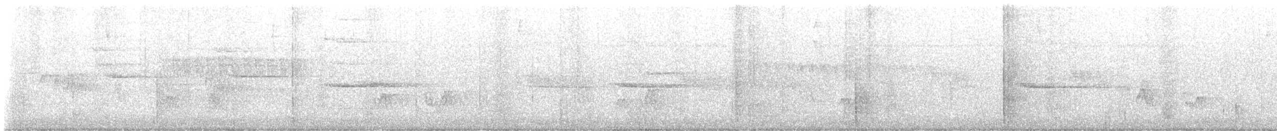 Black-whiskered Vireo - ML637388987