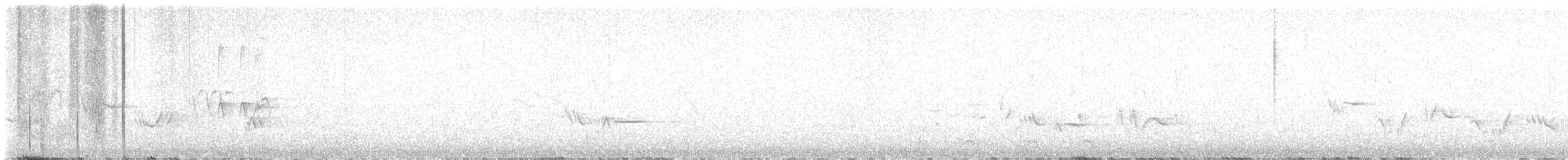 Townsend's Solitaire - ML637389041