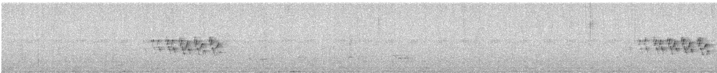 MacGillivray's Warbler - ML637389571