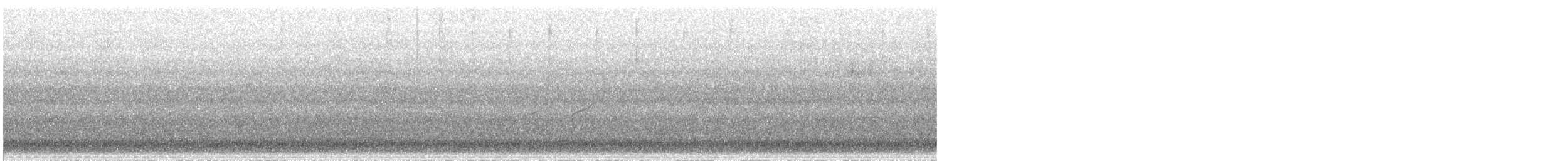 shorebird sp. - ML637389912