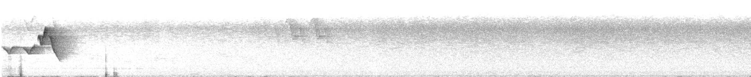 סבכון שחור-ראש - ML637393833