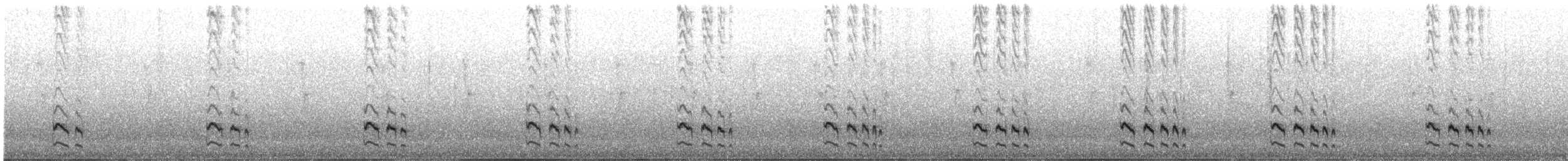 Unicolored Tapaculo - ML637395561