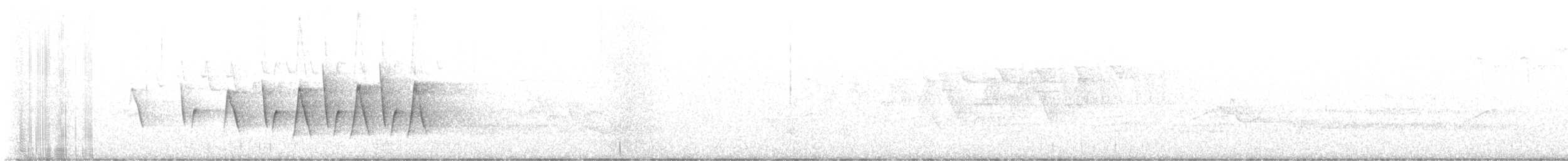 Connecticut Warbler - ML637395768