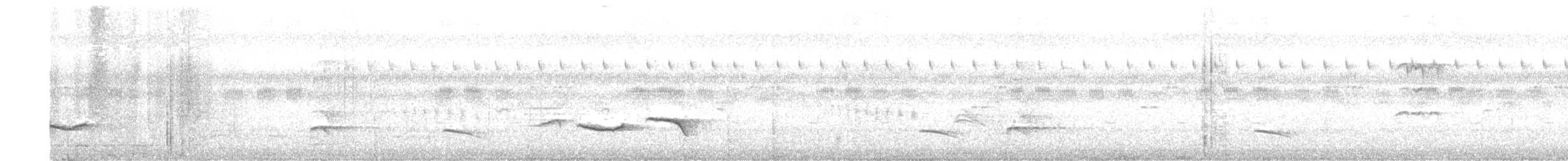 White-bellied Woodpecker - ML637397301
