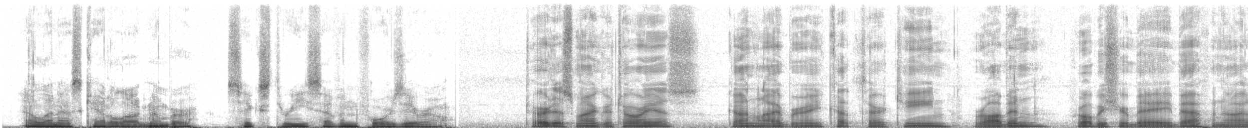 drozd stěhovavý - ML63740