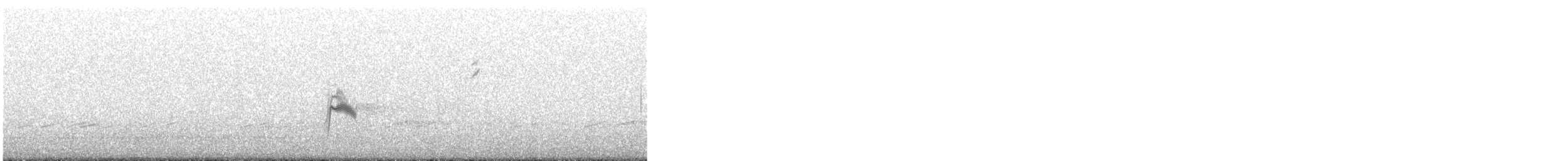 drozd šedolící - ML637400142