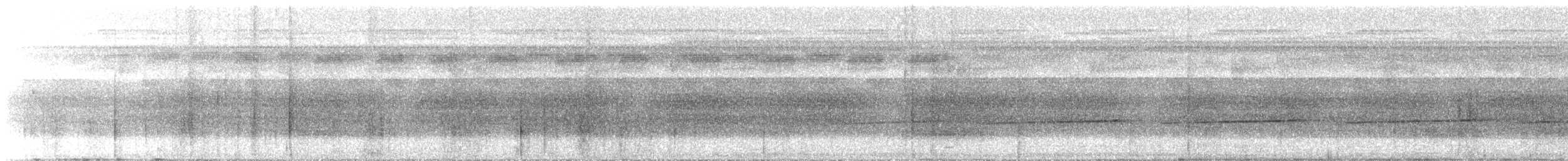 båndmaursmett - ML637400560