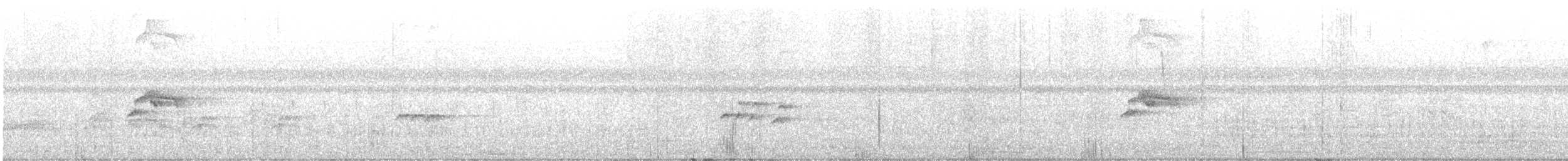 Piratic Flycatcher - ML637400903