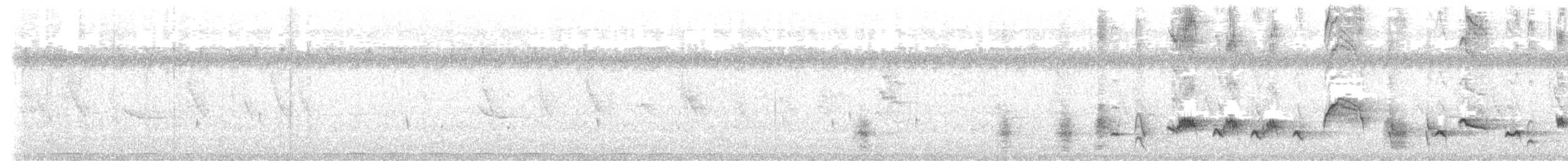 Saipan Reed Warbler - ML637401579
