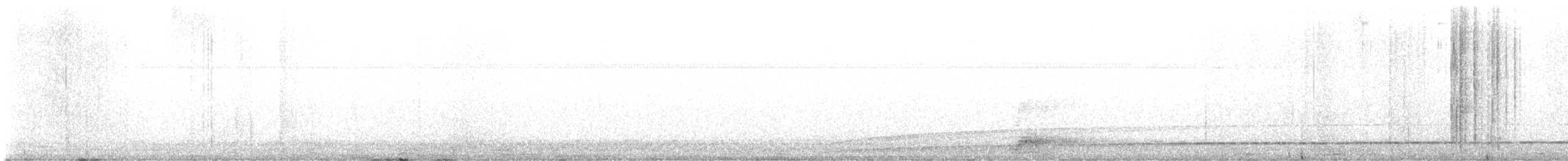 Black-crowned Night Heron - ML637401599