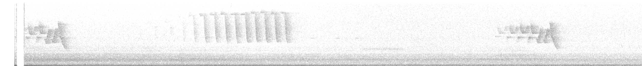 Tennessee Warbler - ML637402211