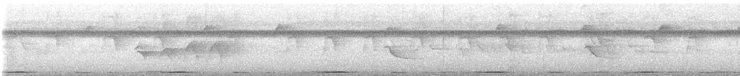 Philippine Cuckoo-Dove - ML637402376