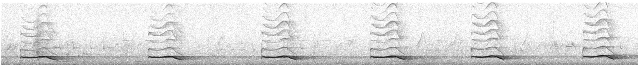 Asian Koel - ML637402929