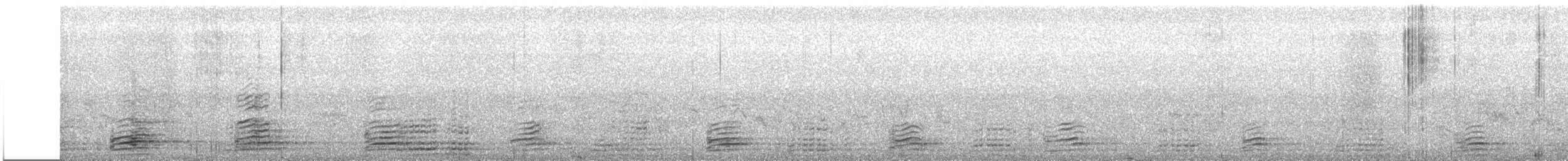 Casarca - ML637402956