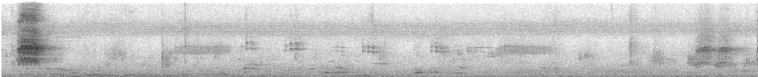 White-cheeked Starling - ML637404212