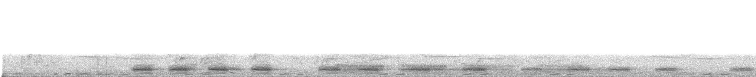 Pied Crow - ML637404446