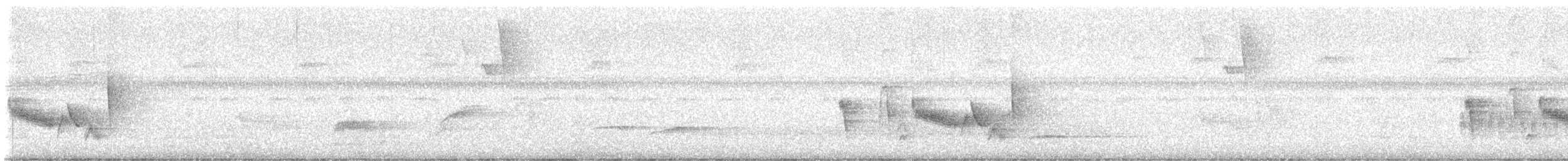 Weißaugenvireo - ML637406276